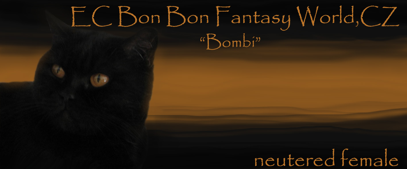 Bon Bon Fantasy World