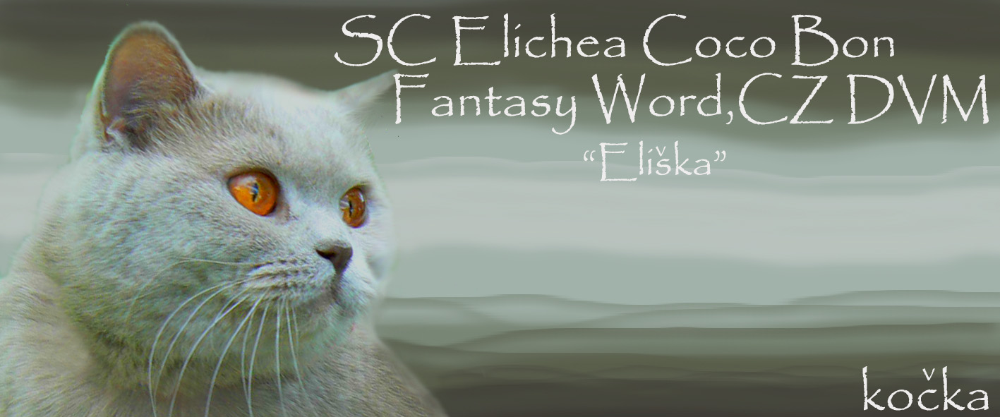 Elichea Coco Bon fantasy Word