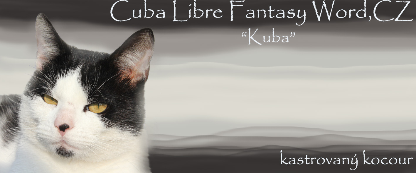 Cuba Libre Fantasy Word