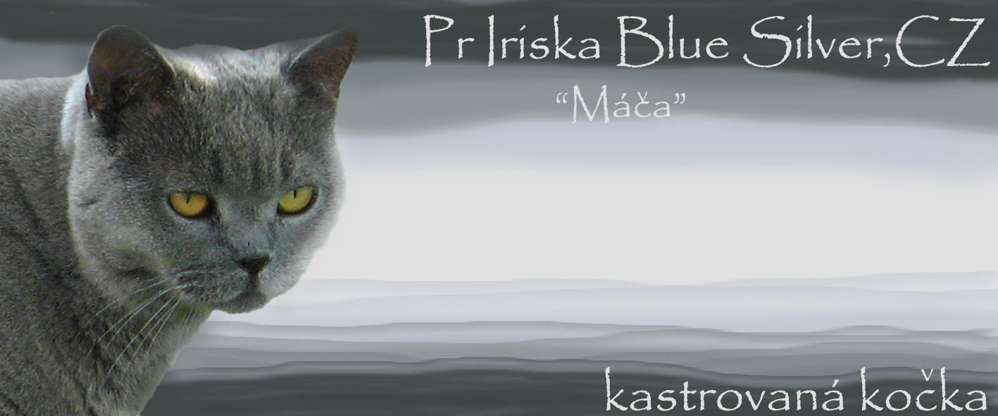 Iriska Blue Silver