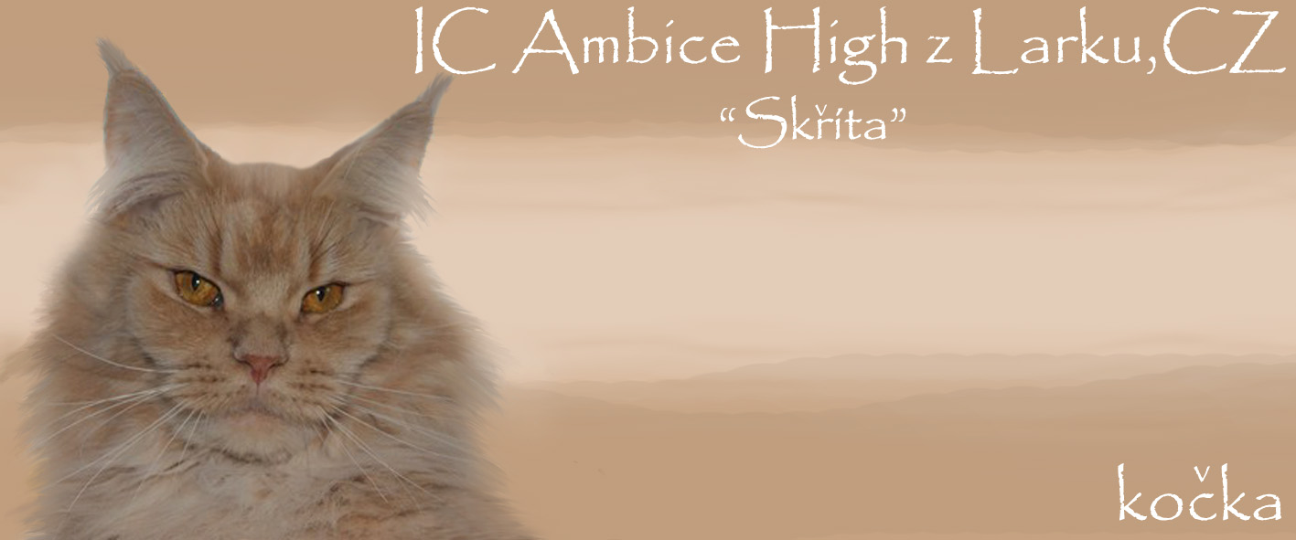 Ambice High z Larku