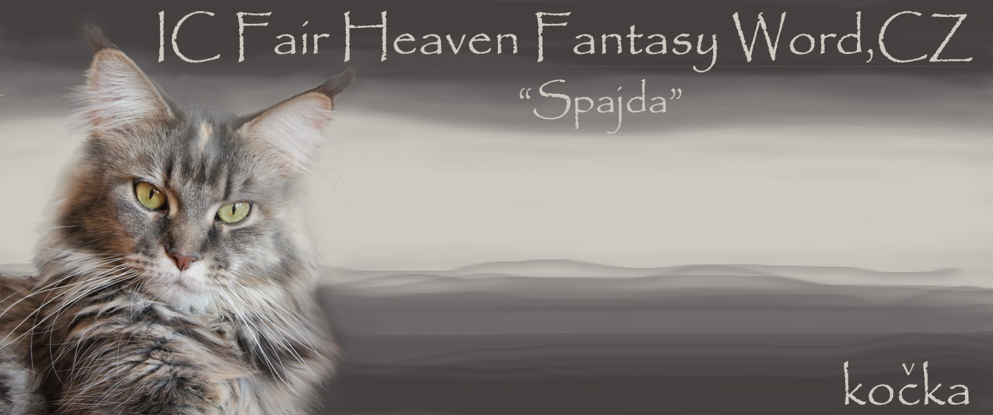 Fair Heaven Fantasy Word