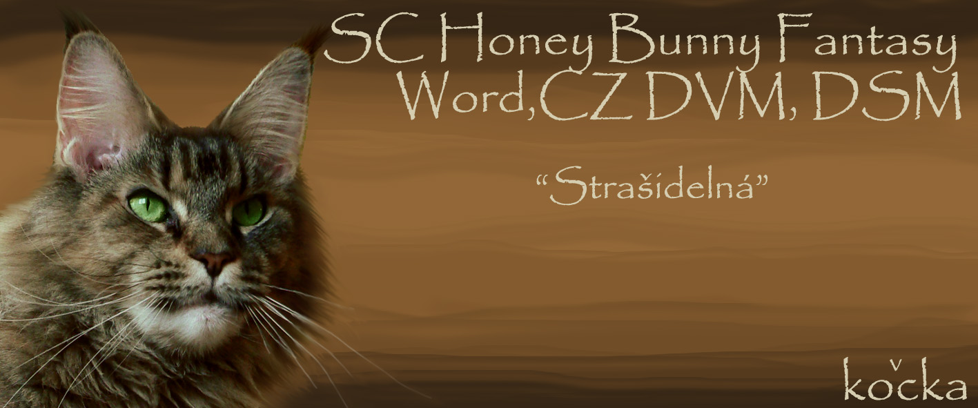 Honey Bunny Fantasy Word